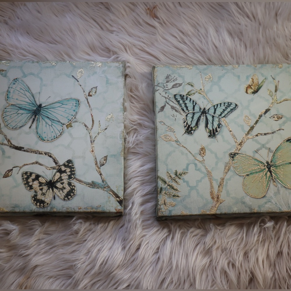 Butterfly canvases